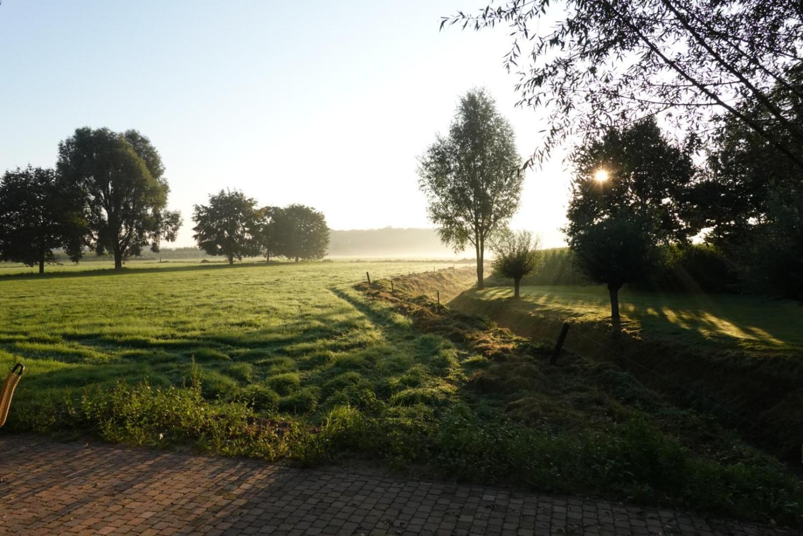 De Knotwilg Villa Loon op Zand Bagian luar foto